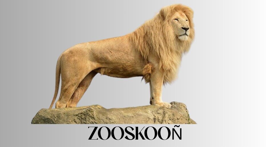ZOOSKOOÑ